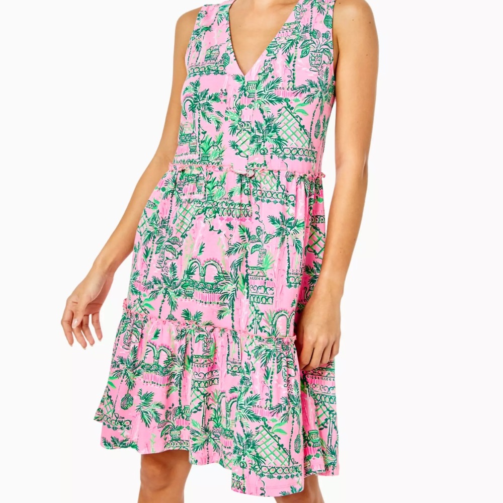 NWT Lily Pulitzer Lorina Swing Dress